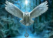 Probuď v sobě magii